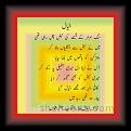 khayal abdal bela 01 * 22.03.2008 * 374 x 462 * (25KB)